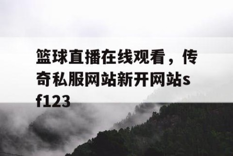 篮球直播在线观看,传奇私服网站新开网站sf123