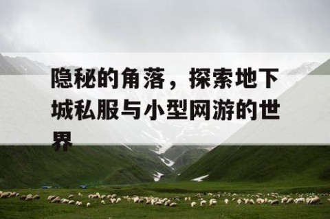 隐秘的角落，探索地下城私服与小型网游的世界