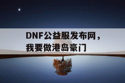 DNF公益服发布网，我要做港岛豪门