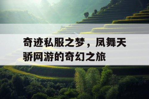 奇迹私服之梦，凤舞天骄网游的奇幻之旅