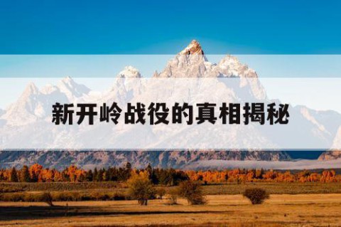 新开岭战役的真相揭秘