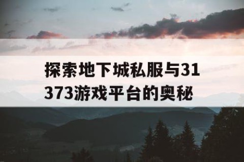 探索地下城私服与31373游戏平台的奥秘