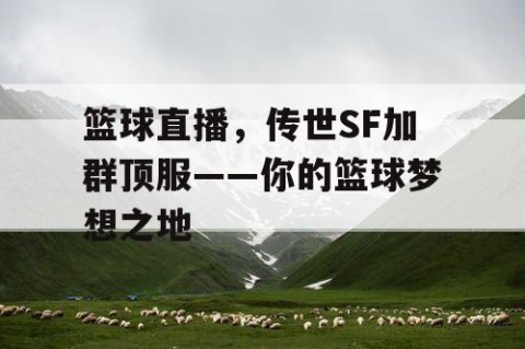 篮球直播，传世SF加群顶服——你的篮球梦想之地
