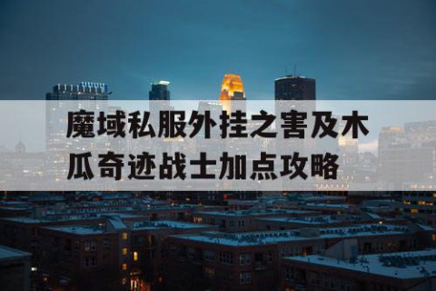 魔域私服外挂之害及木瓜奇迹战士加点攻略