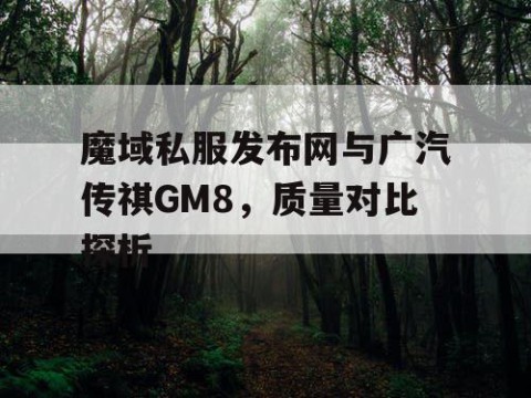 魔域私服发布网与广汽传祺GM8，质量对比探析