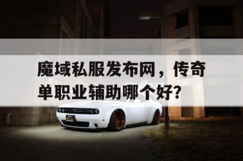 魔域私服发布网，传奇单职业辅助哪个好？