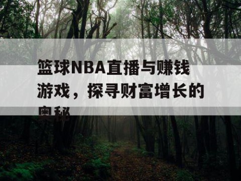 篮球NBA直播与赚钱游戏,探寻财富增长的奥秘