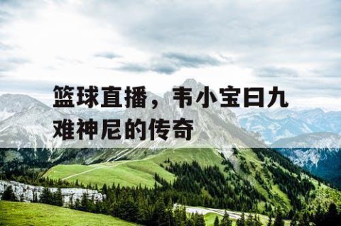 篮球直播,韦小宝曰九难神尼的传奇