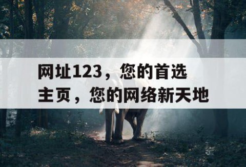 网址123，您的首选主页，您的网络新天地