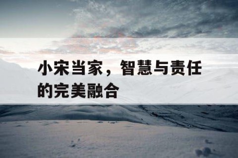 小宋当家，智慧与责任的完美融合