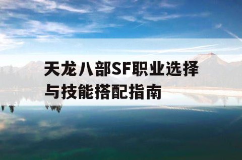 天龙八部SF职业选择与技能搭配指南