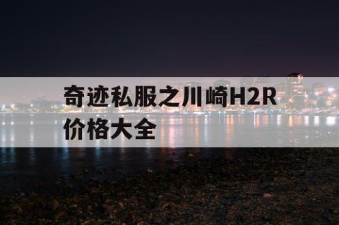 奇迹私服之川崎H2R价格大全