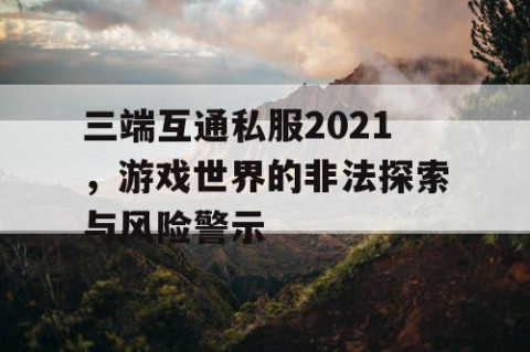 三端互通私服2021，游戏世界的非法探索与风险警示
