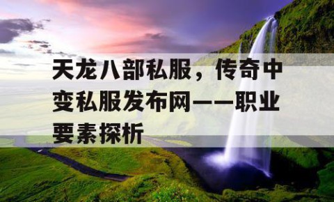 天龙八部私服，传奇中变私服发布网——职业要素探析