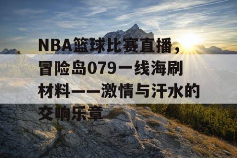 NBA篮球比赛直播，冒险岛079一线海刷材料——激情与汗水的交响乐章