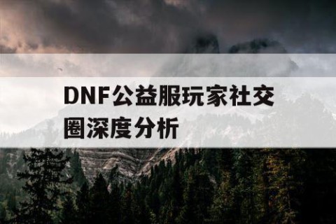 DNF公益服玩家社交圈深度分析