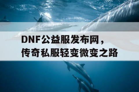 DNF公益服发布网，传奇私服轻变微变之路
