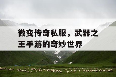 微变传奇私服，武器之王手游的奇妙世界