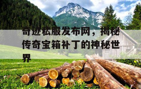 奇迹私服发布网，揭秘传奇宝箱补丁的神秘世界