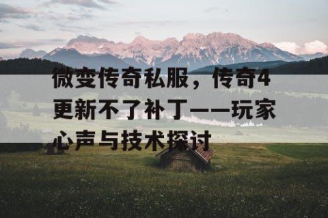 微变传奇私服，传奇4更新不了补丁——玩家心声与技术探讨