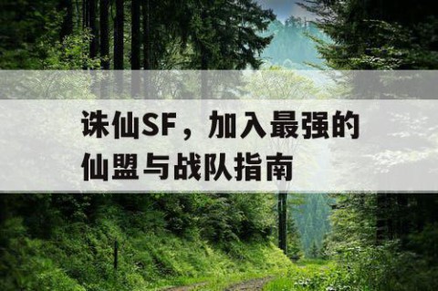 诛仙SF，加入最强的仙盟与战队指南