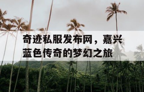 奇迹私服发布网，嘉兴蓝色传奇的梦幻之旅