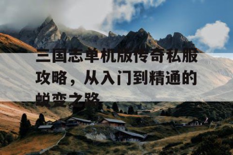 三国志单机版传奇私服攻略，从入门到精通的蜕变之路