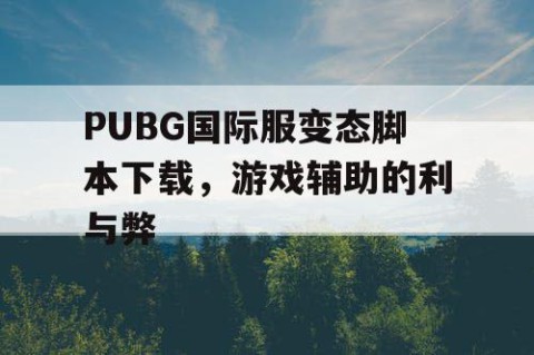 PUBG国际服变态脚本下载，游戏辅助的利与弊