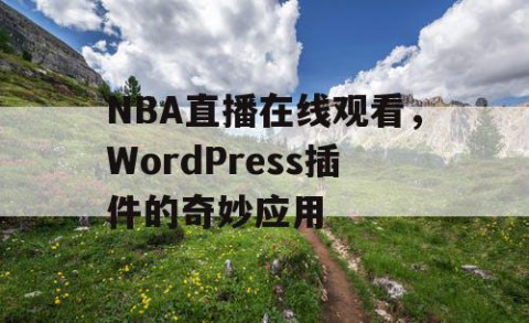 NBA直播在线观看,WordPress插件的奇妙应用