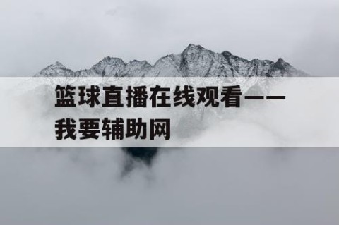 篮球直播在线观看——我要辅助网