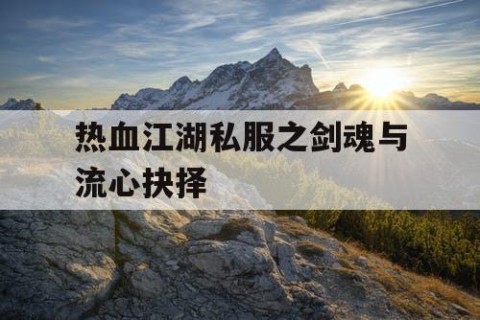 热血江湖私服之剑魂与流心抉择