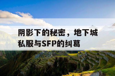 阴影下的秘密，地下城私服与SFP的纠葛