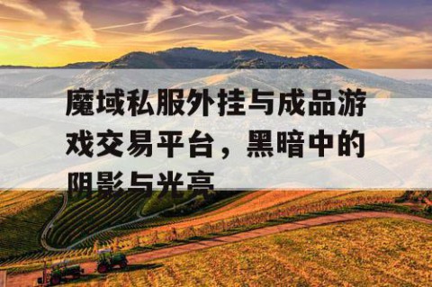 魔域私服外挂与成品游戏交易平台，黑暗中的阴影与光亮