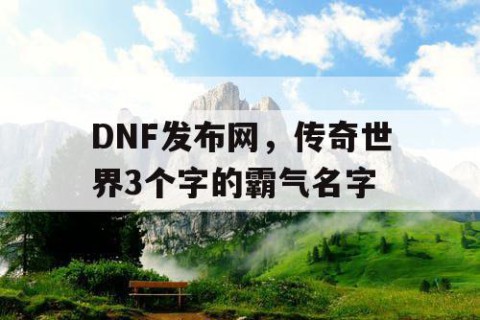 DNF发布网，传奇世界3个字的霸气名字