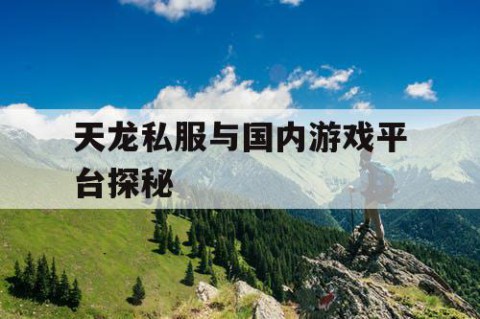 天龙私服与国内游戏平台探秘