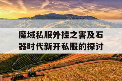 魔域私服外挂之害及石器时代新开私服的探讨