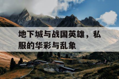地下城与战国英雄，私服的华彩与乱象
