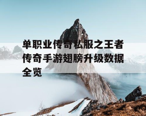 单职业传奇私服之王者传奇手游翅膀升级数据全览