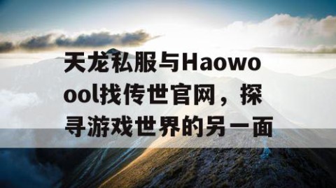 天龙私服与Haowoool找传世官网，探寻游戏世界的另一面