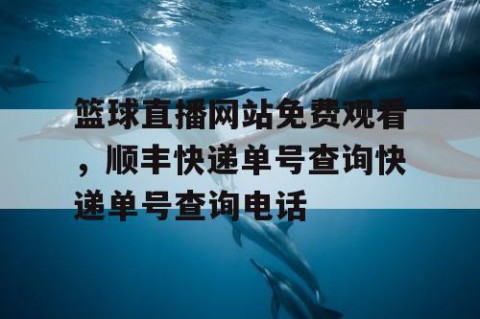 篮球直播网站免费观看,顺丰快递单号查询快递单号查询电话