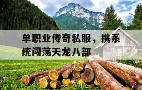 单职业传奇私服，携系统闯荡天龙八部