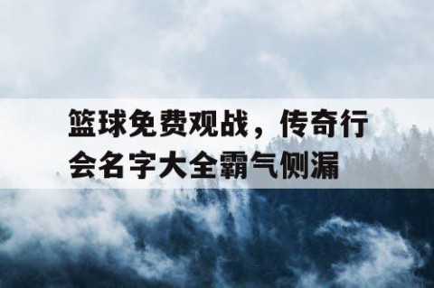 篮球免费观战，传奇行会名字大全霸气侧漏