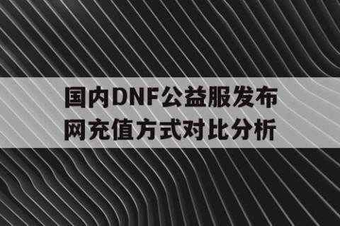 国内DNF公益服发布网充值方式对比分析