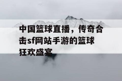 中国篮球直播,传奇合击sf网站手游的篮球狂欢盛宴