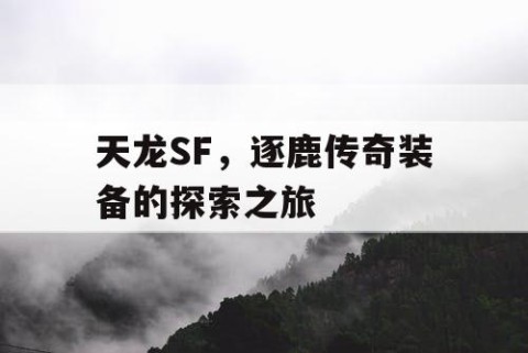 天龙SF，逐鹿传奇装备的探索之旅
