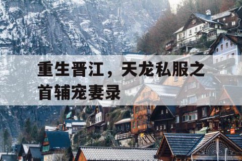 重生晋江，天龙私服之首辅宠妻录