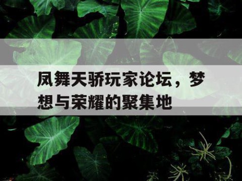 凤舞天骄玩家论坛，梦想与荣耀的聚集地