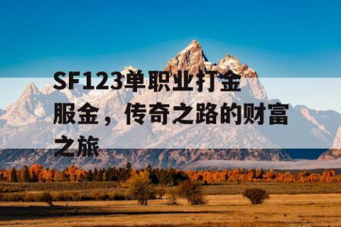 SF123单职业打金服金，传奇之路的财富之旅