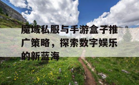 魔域私服与手游盒子推广策略，探索数字娱乐的新蓝海