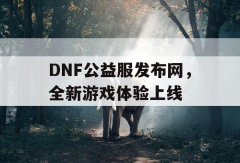 DNF公益服发布网，全新游戏体验上线